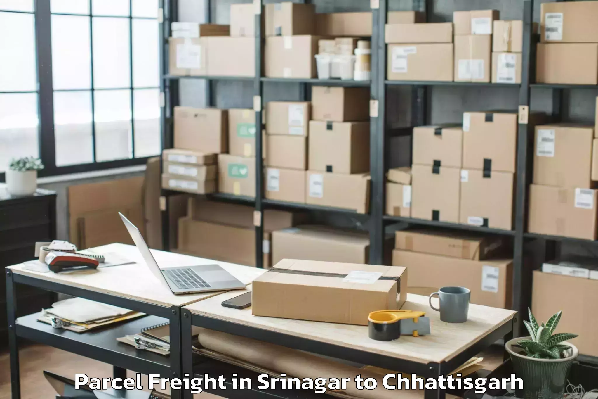 Reliable Srinagar to Chhindgarh Parcel Freight